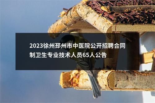 2023徐州邳州市中医院公开招聘合同制卫生专业技术人员65人公告                进入阅读模式 图片