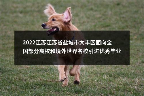 2022江苏江苏省盐城市大丰区面向全国部分高校和境外世界名校引进优秀毕业生42人公告                进入阅读模式 图片