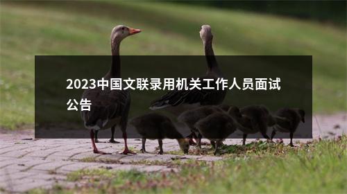 2023中国文联录用机关工作人员面试公告                进入阅读模式 图片