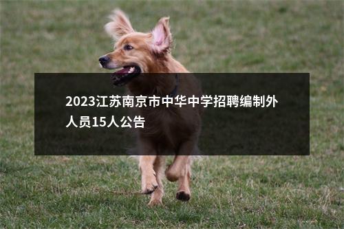 2023江苏南京市中华中学招聘编制外人员15人公告                进入阅读模式 图片