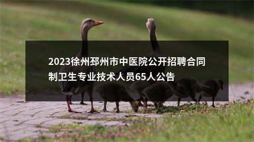 2023徐州邳州市中医院公开招聘合同制卫生专业技术人员65人公告                进入阅读模式 图片