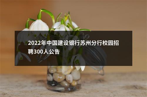 2022年中国建设银行苏州分行校园招聘300人公告                进入阅读模式 图片