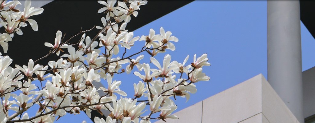 2023年4月扬州市职业大学招聘教师等专业技术人员44人公告                进入阅读模式 图片